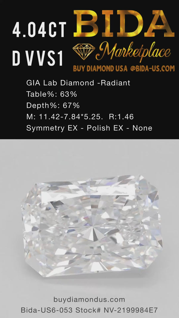 GIA 4.04CT D VVS1